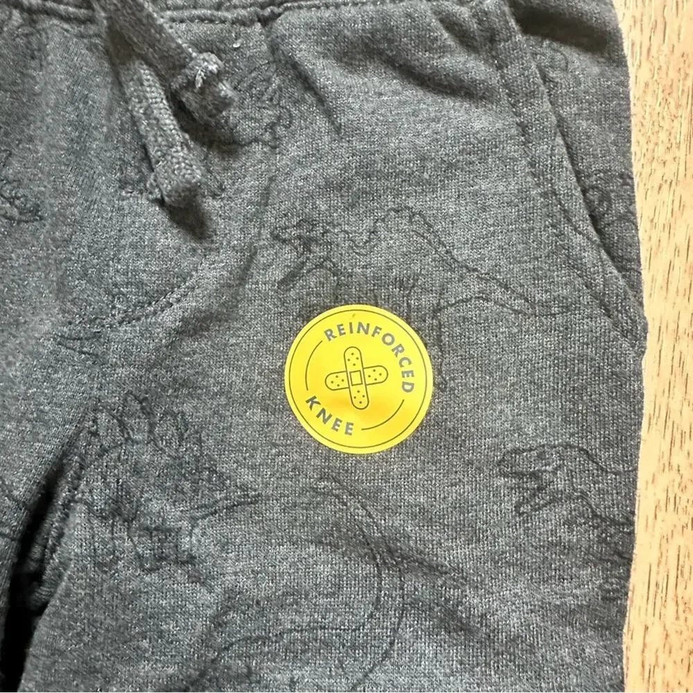 NWT! Cat & Jack Toddler Gray Sweatshirt and Pants Set, Dinosaurs, T-Rex, 18m